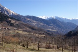 Il paesaggio di mattina