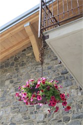 Fiori appesi al balcone