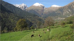 La Coltura di Sucinva